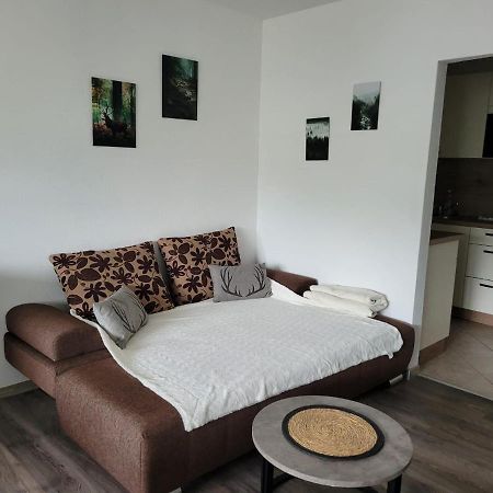 Ferienwohnung Hilde Bad Peterstal-Griesbach Exterior foto
